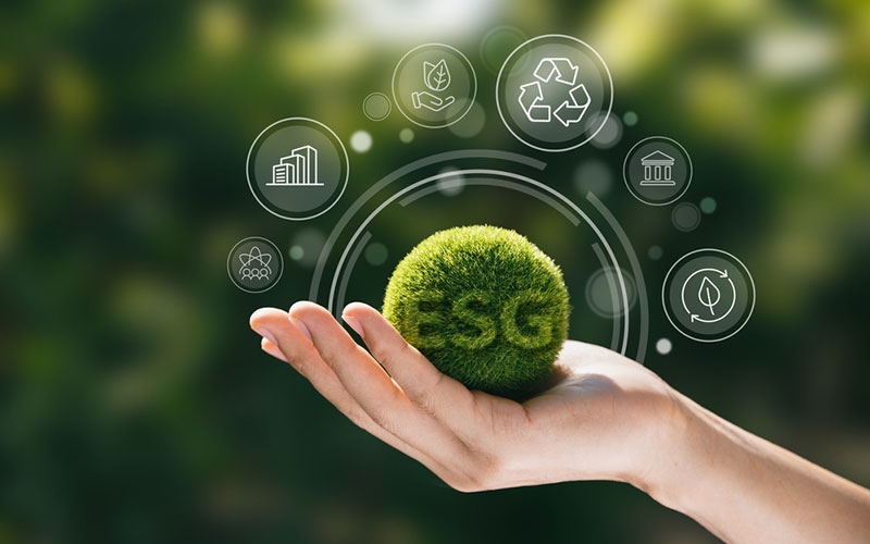 Rappresentazione visiva dell'articolo: ESG: Investire per un Futuro Sostenibile e Responsabile